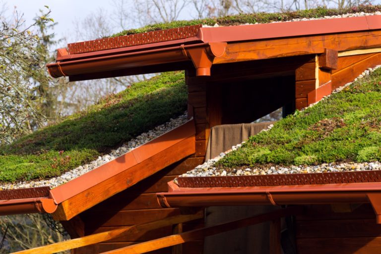 Wooden house with living sod roof