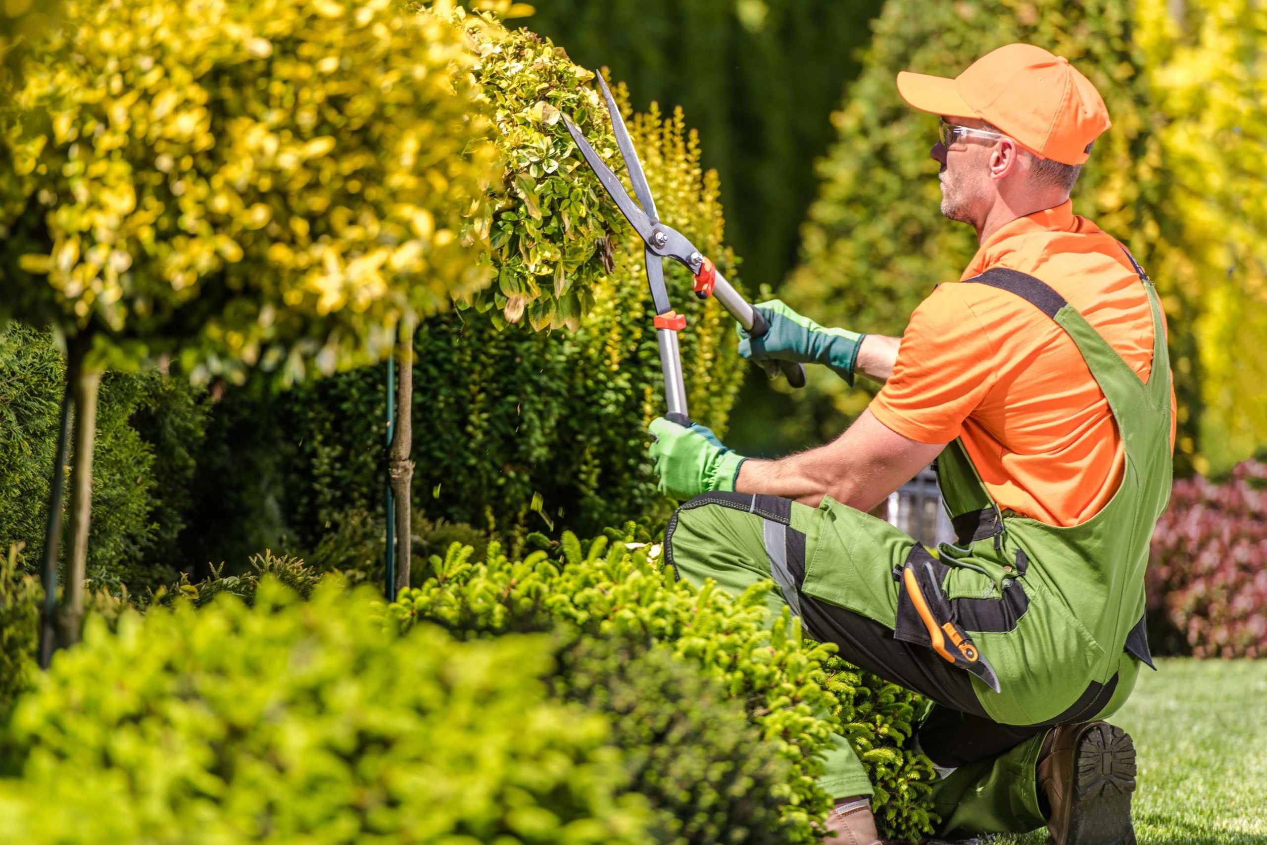 5 Roofing Maintenance Tips: Get Your Home Summer Ready