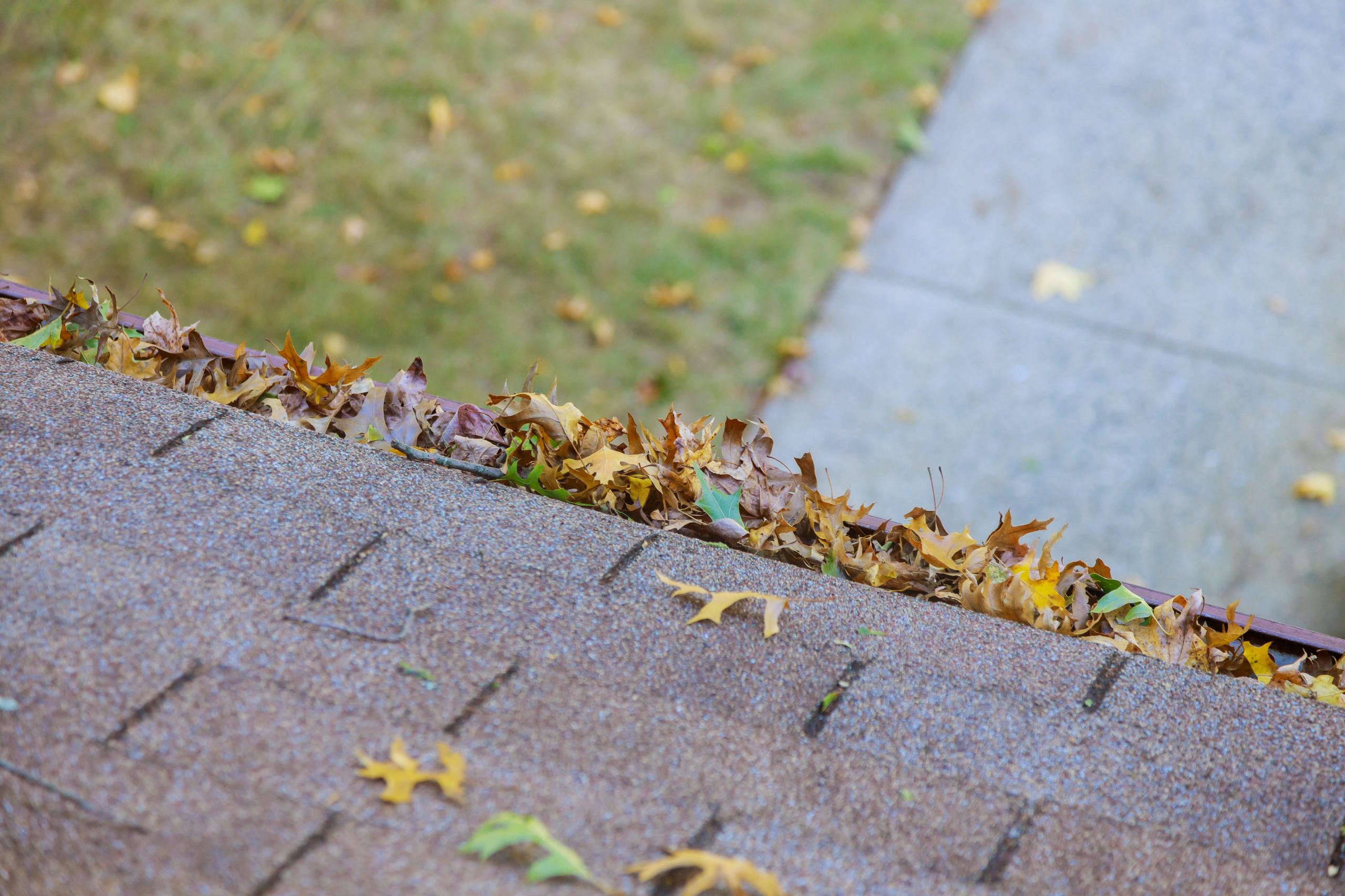 Roof gutter filled with leaves