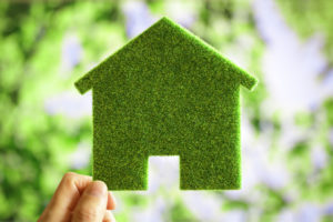 Person holding small green model of house